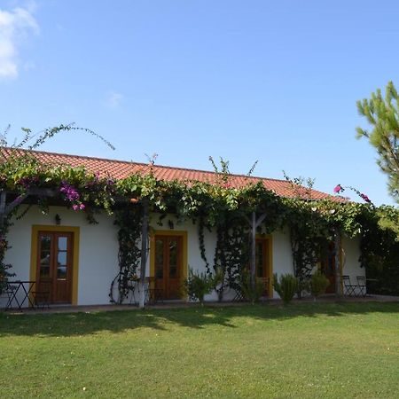 Casa De Campo Vale Do Asno Altura Buitenkant foto
